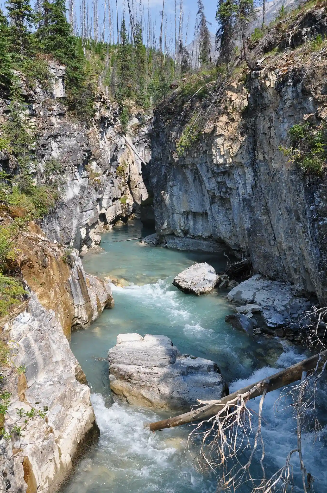 view of a national park